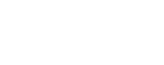Synapse Studio Digital